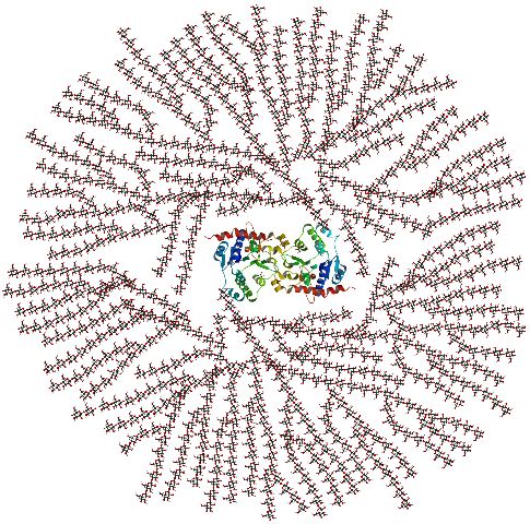 Glycogen_structure_presteramera_umara_glykogen.svg