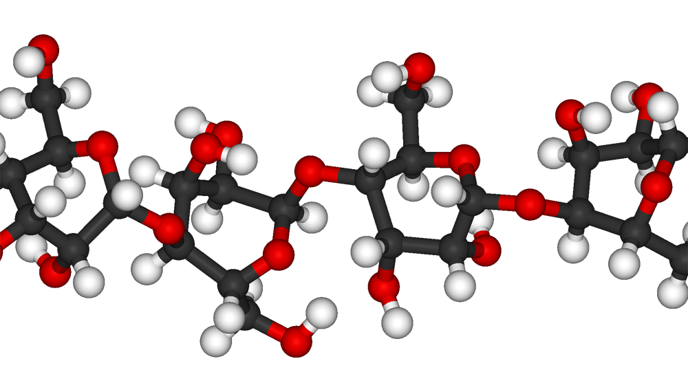 #69 Glykogen – En grundläggande förståelse!