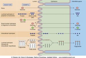 Tarmmembran-sportryck_umara_presteramera