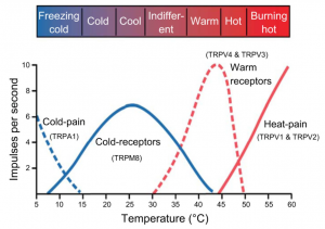 Temperatur_presteramera_umara_smärta