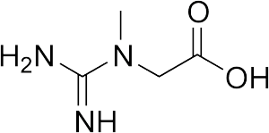 Kreatin_neutral-prestera mera-umara