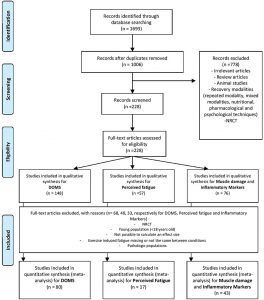 Flowchart-prestera mera-massage