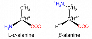 Beta-Alanin